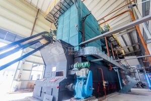 paddy boiler machine price